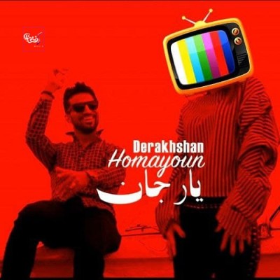 Solar Panel Installation